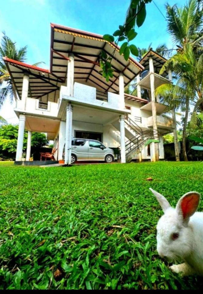 Royal Beach Villa Unawatuna Esterno foto